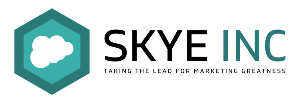 SKYE INC Logo Transparent