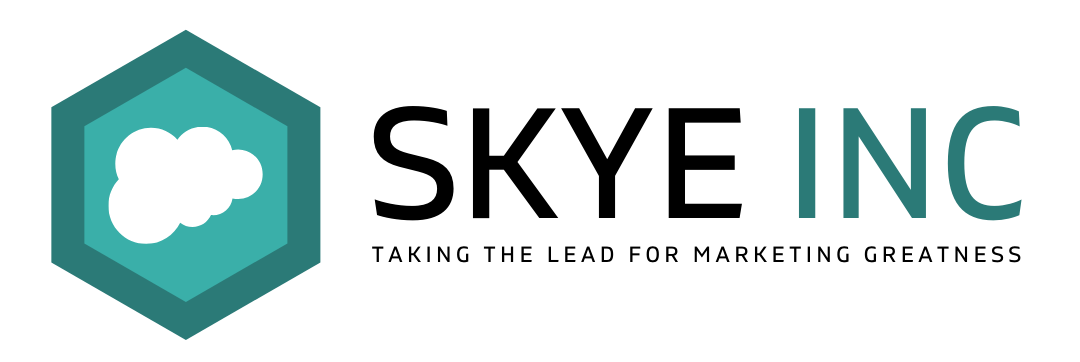 SKYE INC Logo Transparent